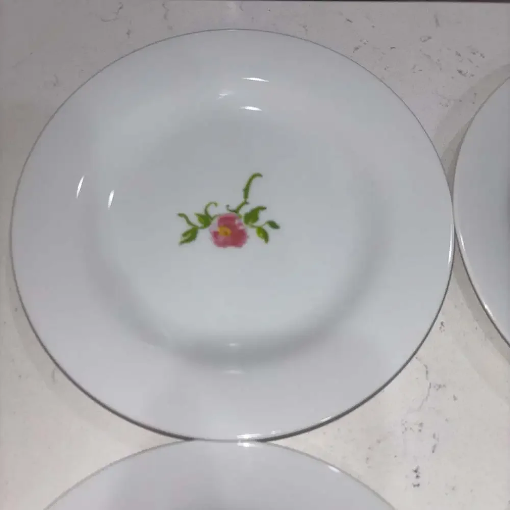Pottery Barn Bloom Set of 6 Mixed Floral Salad Plates 8.5”